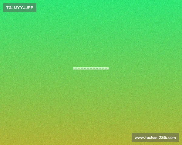 法甲球员数据分析与排名揭示赛季表现亮点与发展趋势